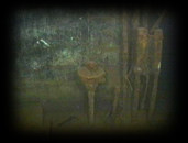 027 Water Fountain